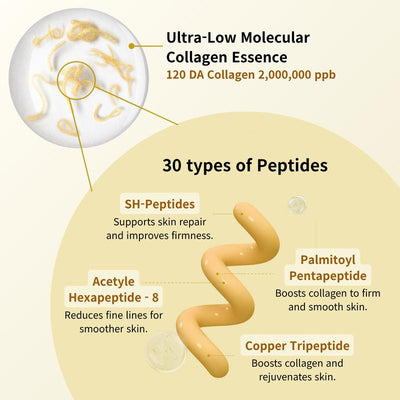 Silk Lifting Peptide Ampoule